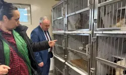 Kötü şartlarda tutulan 102 hayvana el konuldu