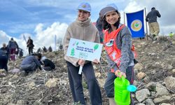 81 İlde 81 Orman projesi yeniden başladı