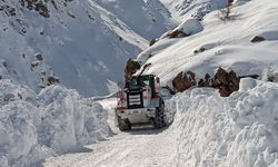 Yüksekova'da kapalı mezra yolu ulaşıma açıldı