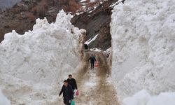 Bitlis'te çığın düştüğü köy yolunda çalışma başlatıldı