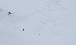 Van’ın dağları yabancı kayakçıları ağırladı