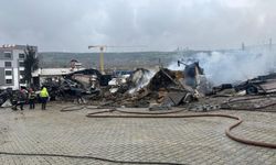 Ahır yangınında çok sayıda hayvan öldü