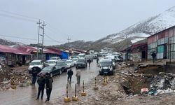 Üzümlü Sınır Kapısı’nda bekleyiş çilesi!