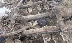 Başkale'de ahır çöktü; 20 küçükbaş telef oldu