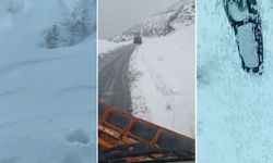 Hakkari - Şırnak yolunda çok sayıda araç mahsur kaldı