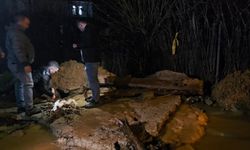 Ahırda mahsur kalan keçiler kurtarıldı