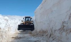 Bitlis’te çığ ve heyelan ulaşımı aksattı