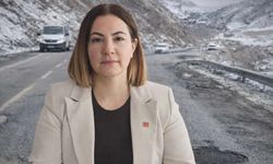 Çakırbeyli'den yol tepkisi: Hakkari bunu hak etmiyor