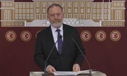 DEM Parti'li Temelli: Umarız bayramdan sonra adım atılır