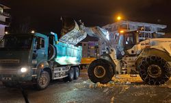 DSİ'den Hakkari'de karla mücadeleye destek