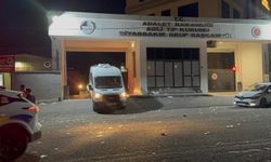 Eşini öldüren şüpheli tutuklandı