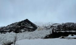 Hakkari’de çığ alarmı: O köyde 4 ev tahliye edildi
