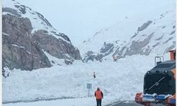 Hakkari-Van karayoluna çığ indi