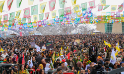 DEM Parti Hakkari İl Örgütü’nden newroz teşekkürü