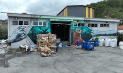 Geri dönüşümde yüzde 37,53 artış