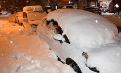 Hakkari'de mart ortasında araçlar kara gömüldü