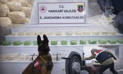 Hakkari ve Van'da zehir tacirlerine darbe