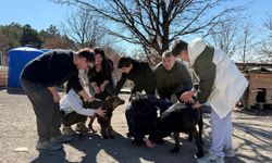 İşitme engelli öğrencilerden, engelli köpekler için kampanya