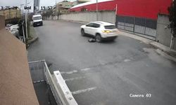 Cip sürücüsü köpeği ezdi, durmadı