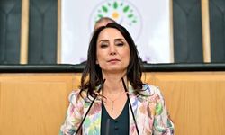 DEM Parti Eş Genel Başkanı Hatimoğulları Hakkari'ye geliyor