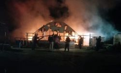 Hayvan çiftliğinde yangın: 580 hayvan öldü