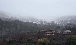 Kayıp dağcı, sığındığı bağ evinde bulundu