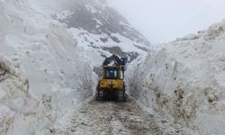 Hakkari'de 56 yerleşim erinin yolu kapandı