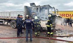 Park halindeki TIR yandı, şoför dumandan etkilendi