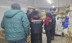 Tüketime aykırı 9 ton 750 kilo gıdaya el konuldu