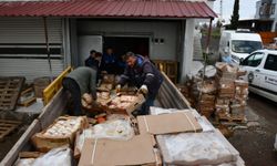 Şanlıurfa’da 50 ton bozuk tavuk eti ele geçirildi