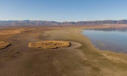 Su ve Orman: Doğanın, refahın ve eşitliğin temel taşları