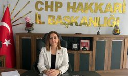 CHP İl Başkanı Çakırbeyli'den üst geçit tepkisi