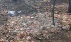 Vatandaşlar yetkililere seslendi