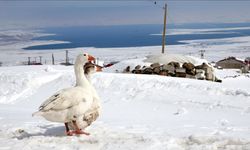 Kışkılı’da karla mücadele baharda da devam ediyor