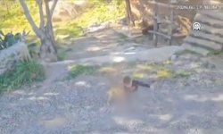 Sahipsiz köpeklerin saldırdığı çocuk yaralandı