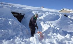 Muş’ta karla kaplı köyde yaşam mücadelesi