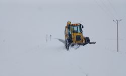 Van'da 216 yerleşim yerinden 157'si ulaşıma açıldı