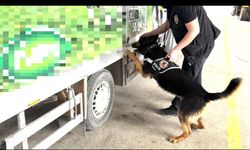 Kamyonette 90 kilo 600 gram yasaklı madde ele geçirildi