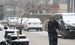 Van'da mart ayının sonunda kar yağışı