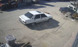 Yerde yatan köpek, otomobilin altında kaldı