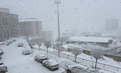 Yüksekova'da kar yağışı etkili oldu