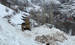 Yüksekova'da köye düşen çığ korkuya neden oldu