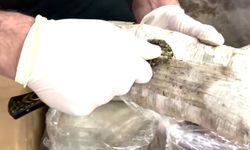 Hakkari dahil 71 ilde narkotik operasyonlar: 373 tutuklama