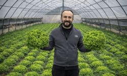 Hakkari seralarında hasat zamanı