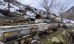 Hakkari’de arıcılar bahar mesaisine başladı