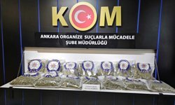 25 kilo skunk ele geçirildi; 2 gözaltı
