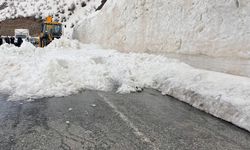 Hakkari- Şırnak karayolu çığ nedeniyle kapandı