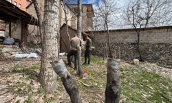 Hakkari’de meyve bahçelerinde bahar mesaisi başladı