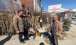 Hakkari’de 25 yıldır aynı noktada fidan satıyor