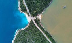 Kaş’ta deniz kahverengiye döndü
